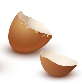 egg crack